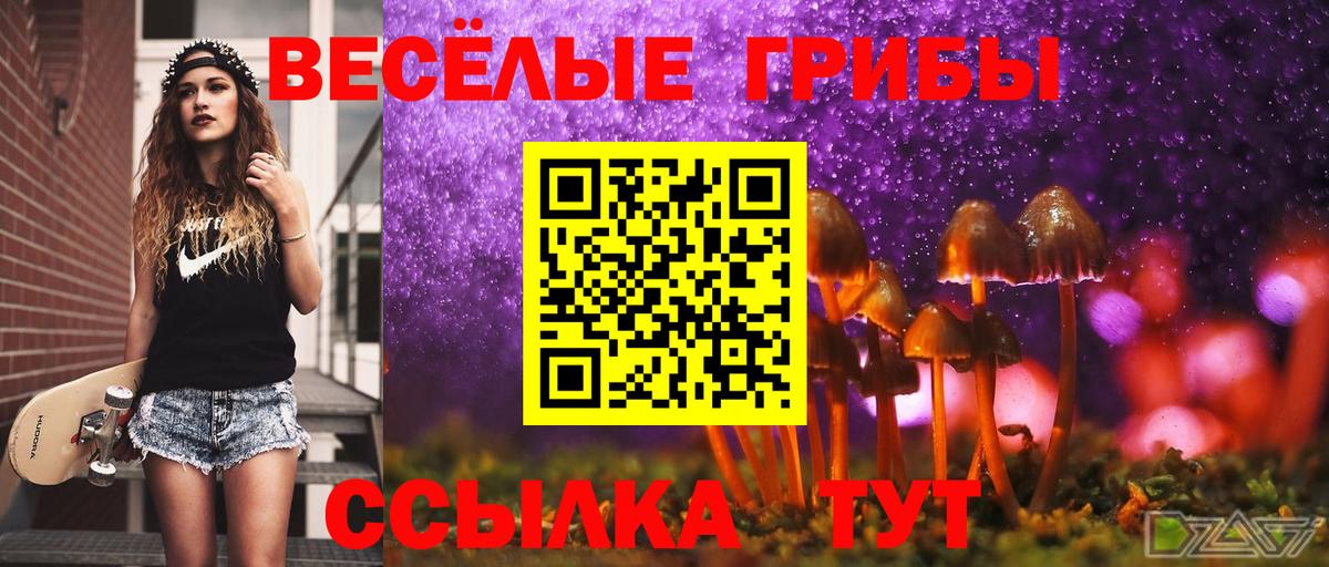 Псилоцибиновые грибы мицелий Полевской