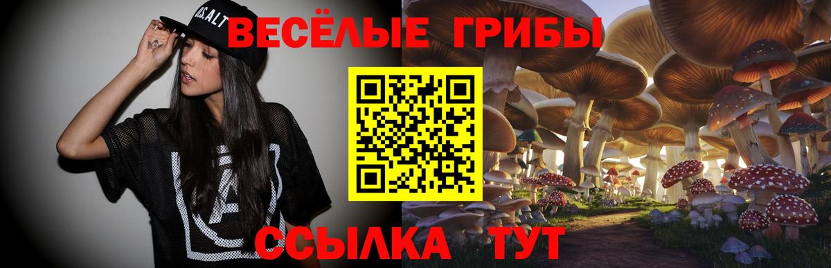 наркошоп  Вход с VPN  Галлюциногенные грибы мицелий  Полевской  Псилоцибиновые грибы прущие грибы 